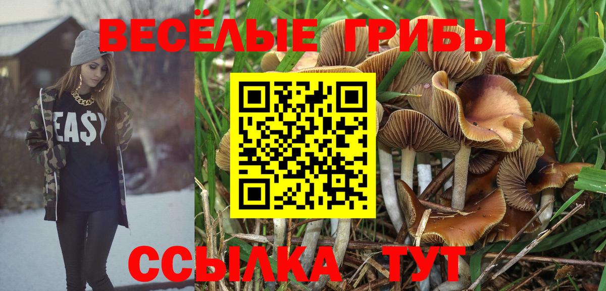 Псилоцибиновые грибы ЛСД Десногорск